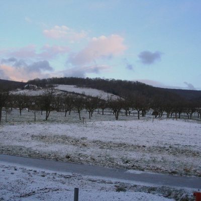 Un verger en hiver en Alsace
